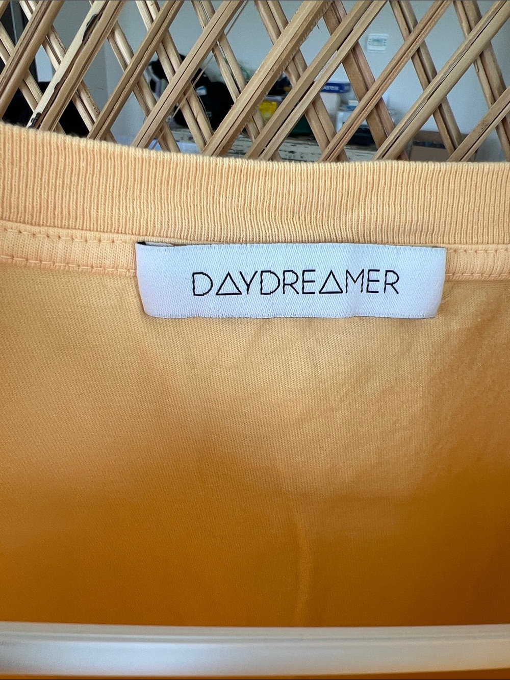 Daydreamer Peach The Doors Graphic Tee with Vintage Band Art - Picture 3 of 3